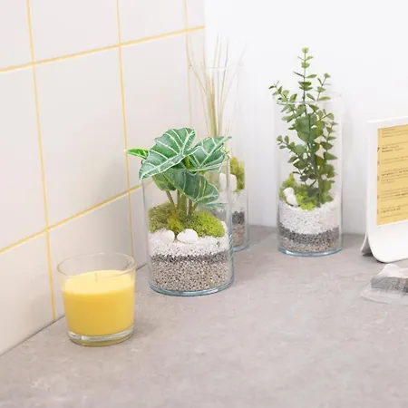 Marigold * Roseto Degli Abruzzi