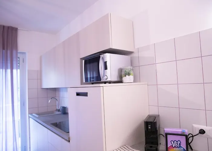 Marigold * روزيتو ديلي أبروتسي